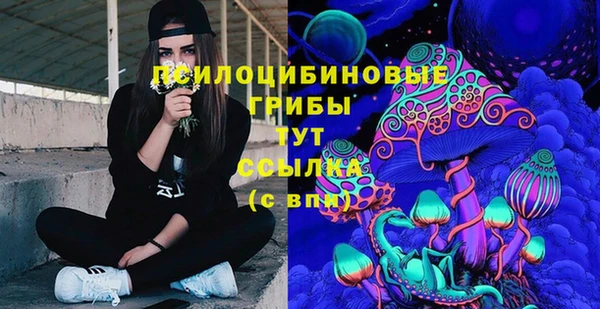 дмт Баксан