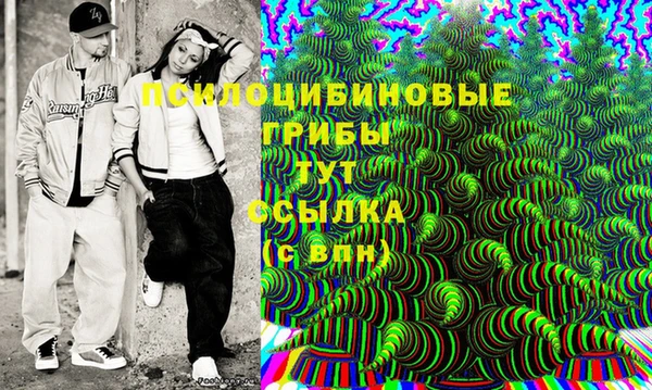 стаф Вязники