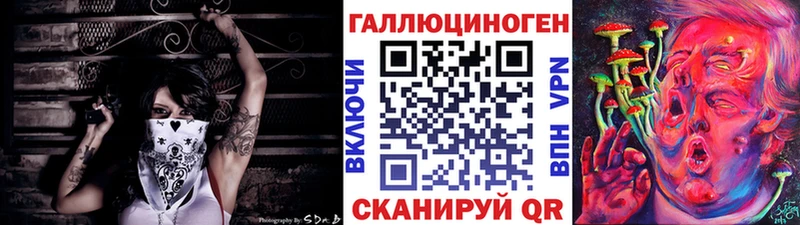 наркотики  Белозерск  Псилоцибиновые грибы Psilocybine cubensis 